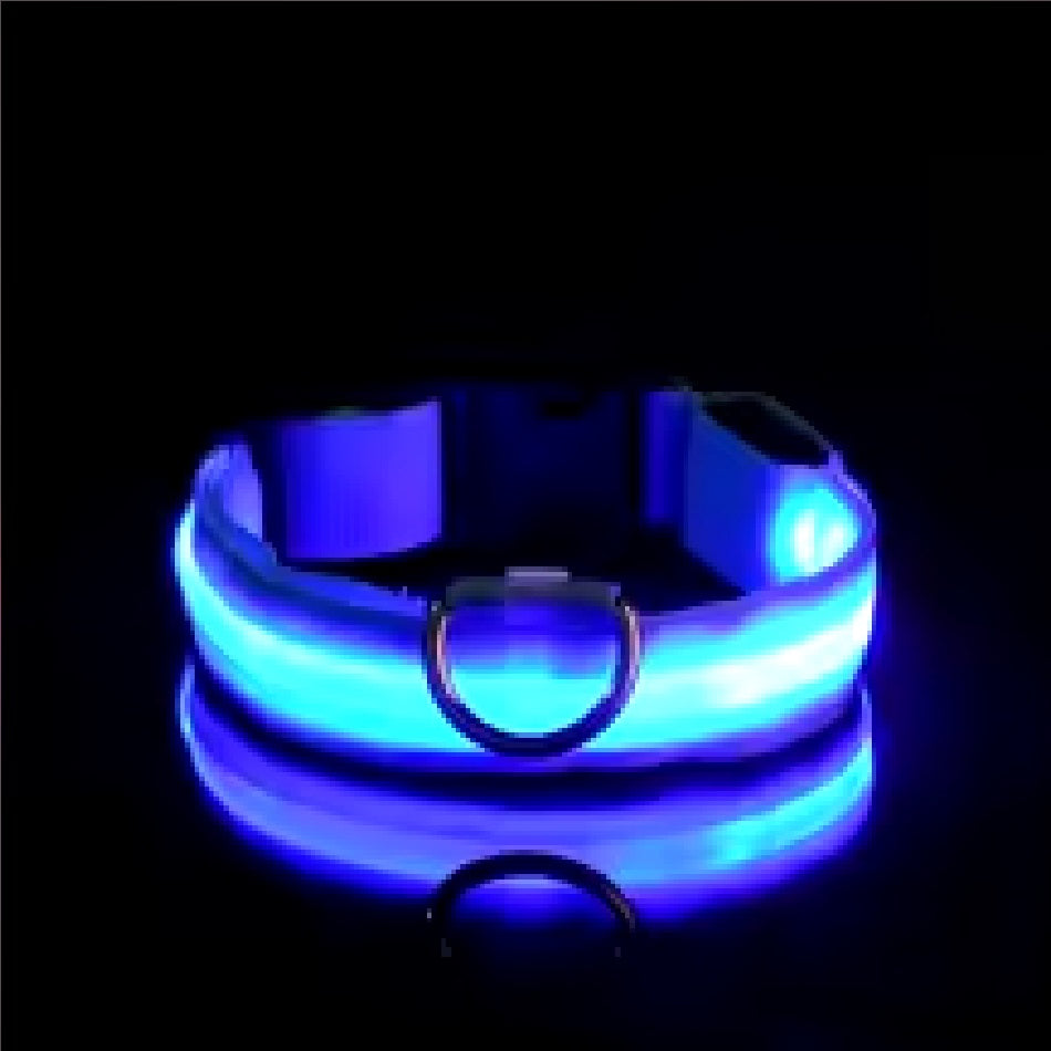 LED Night Safety Flashing Glow In The Dark